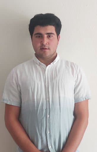 Velican Ş.
