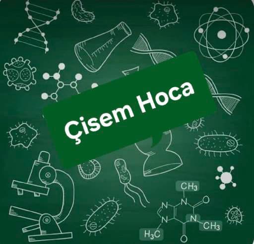 Çisem G.